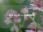 探寻 CSGO 中 Xeta 的独特魅力