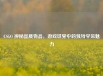 CSGO 神秘品质物品，游戏世界中的独特罕见魅力