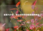 提莫与小智，峡谷中的奇妙碰撞视频解说