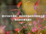 塞尔与和平精英，两款游戏背后的不同魅力及和平精英塞北图片