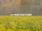CSGO 快速打闪技巧全解析