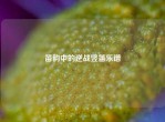 笛韵中的逆战竖笛乐谱