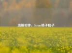 温暖相伴，Steam格子毯子