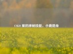 CSGO 里的神秘技能，小鹿隐身