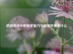 逆战竞技中的限定魅力与限定究竟是什么
