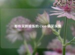 那些笑到喷饭的 CSGO 搞笑头像