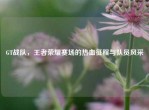 GT战队，王者荣耀赛场的热血征程与队员风采