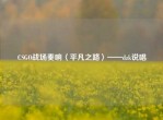 CSGO战场奏响〈平凡之路〉——dzk说唱
