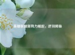 英雄联盟新势力崛起，逆羽降临