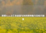 探索Steam上亡命徒蓝与灰的独特魅力及船只图鉴
