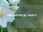 CF英雄女角色年龄之谜，究竟多大？