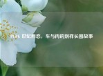 PUBG 世纪网恋，车与肉的别样长图故事