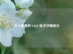 令人捧腹的 CSGO 茄子沙雕照片