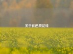 关于在逆战花钱