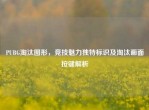 PUBG淘汰图形，竞技魅力独特标识及淘汰画面按键解析