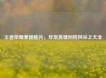 王者荣耀素描图片，尽显英雄别样风采之大全
