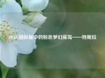 PUBG国际版中的粉色梦幻座驾——特斯拉