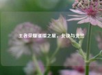 王者荣耀璀璨之星，北诀与北竺
