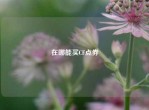 在哪能买CF点券