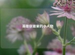 英雄联盟里的小人物
