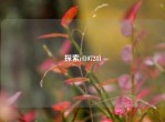 探索cf107281