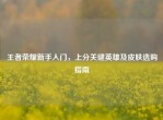 王者荣耀新手入门，上分关键英雄及皮肤选购指南