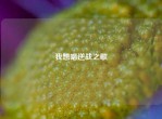 我想唱逆战之歌