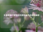 王者荣耀打野露拉的独特魅力及玩法解析