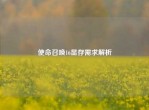 使命召唤16显存需求解析