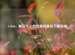 CSGO，畅玩不止的热血网游及下载指南