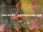 探秘lol贾克斯吧，领略英雄背后的热血与     