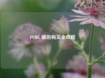 PUBG 端游购买全攻略