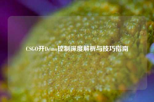 CSGO开Demo控制深度解析与技巧指南