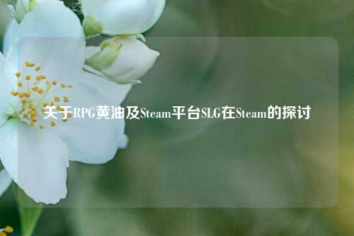 关于RPG黄油及Steam平台SLG在Steam的探讨
