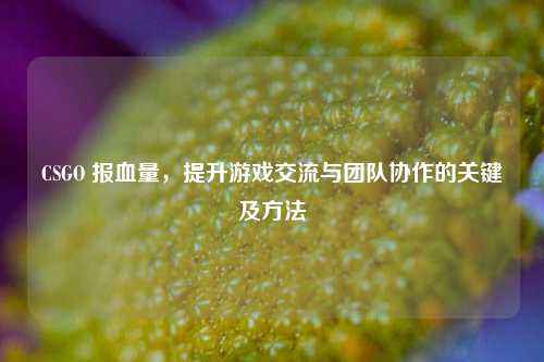 CSGO 报血量,提升游戏交流与团队协作的关键及