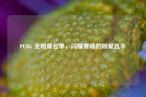 PUBG 全明星名单,闪耀赛场的明星选手