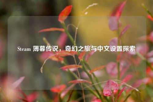 Steam 薄暮传说,奇幻之旅与中文设置探索