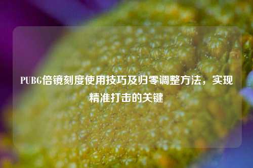 PUBG倍镜刻度使用技巧及归零调整 ,实现精准打击的关键
