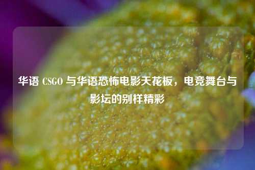 华语 CSGO 与华语恐怖电影天花板,电竞舞台与影坛的别样精彩