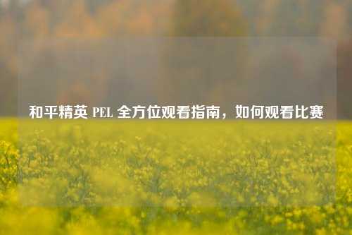 和平精英 PEL 全方位观看指南,如何观看比赛