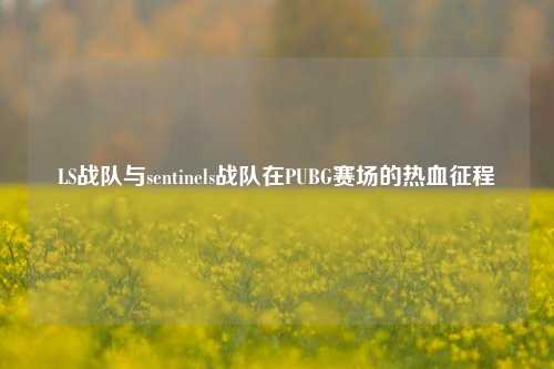 LS战队与sentinels战队在PUBG赛场的热血征程