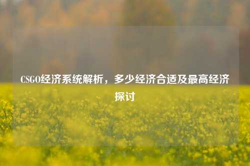 CSGO经济系统解析,多少经济合适及更高经济探讨