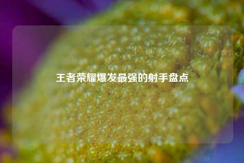王者荣耀爆发最强的射手盘点
