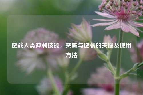 逆战人类冲刺技能,突破与逆袭的关键及使用