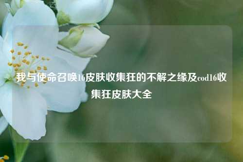 我与使命召唤16皮肤收集狂的不解之缘及cod16收集狂皮肤大全