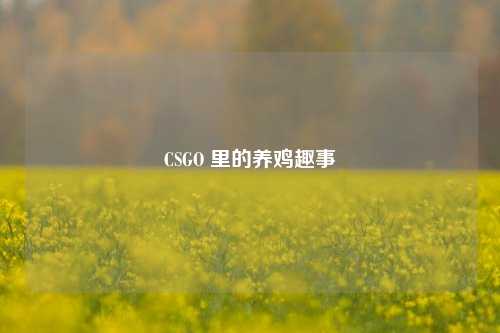 CSGO 里的养鸡趣事