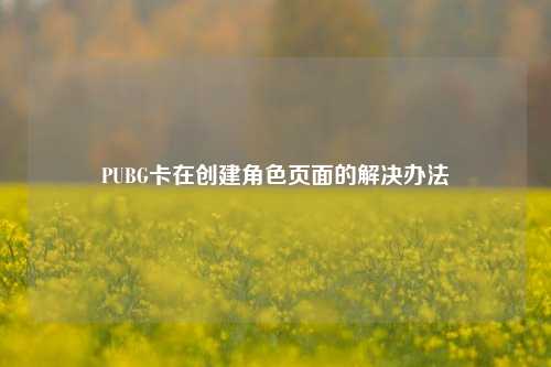 PUBG卡在创建角色页面的解决办法