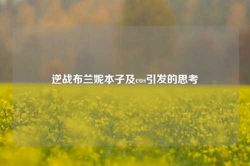 逆战布兰妮本子及cos引发的思考