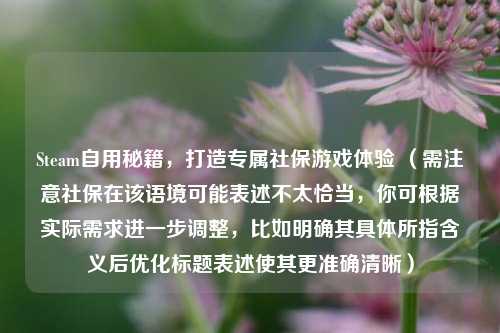 Steam自用秘籍,打造专属社保游戏体验 (需注意社保在该语境可能表述不太恰当,你可根据实际需求进一步调整,比如明确其具体所指含义后优化标题表述使其更准确清晰)