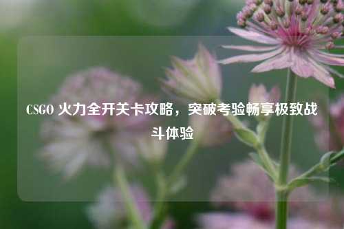 CSGO 火力全开关卡攻略,突破考验畅享极致战斗体验
